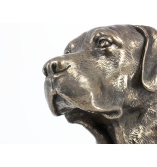 Labrador Retriever głowa na kamieniu Art-Dog